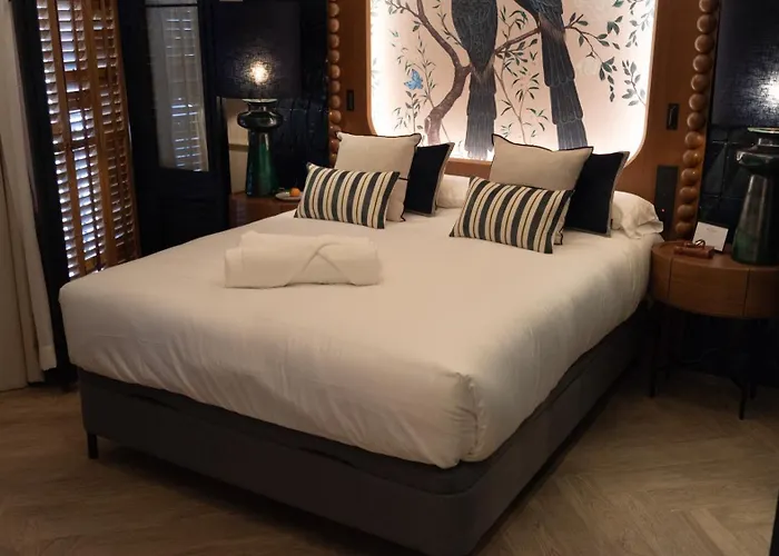 Boada Riera - The Roomsbyreini 特拉萨
